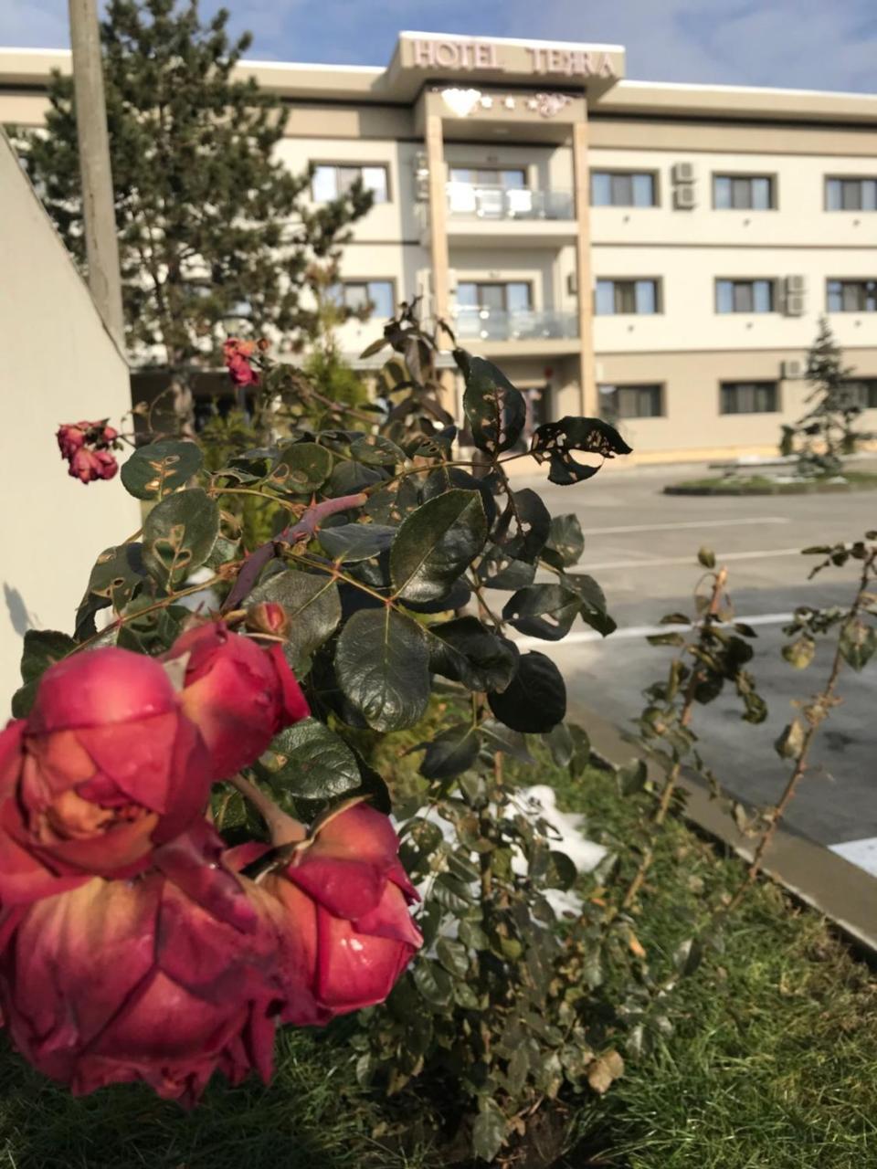 Hotel Terra Iasi Valea Lupului  Exterior foto